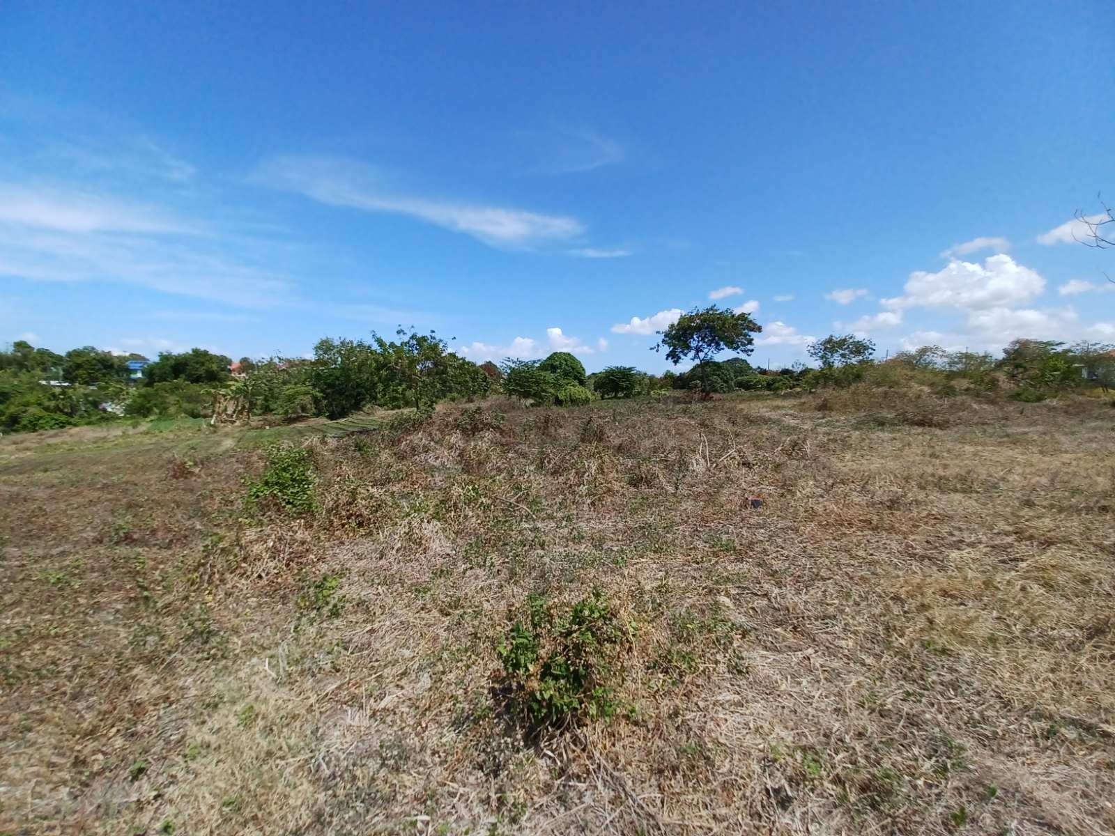 Residential Lot in Molino IV, Bacoor, Cavite
